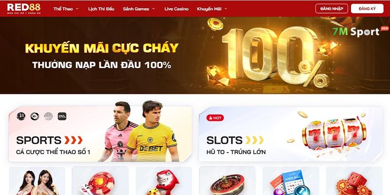 Tìm hiểu nguồn gốc và nền tảng pháp lý của RED88
