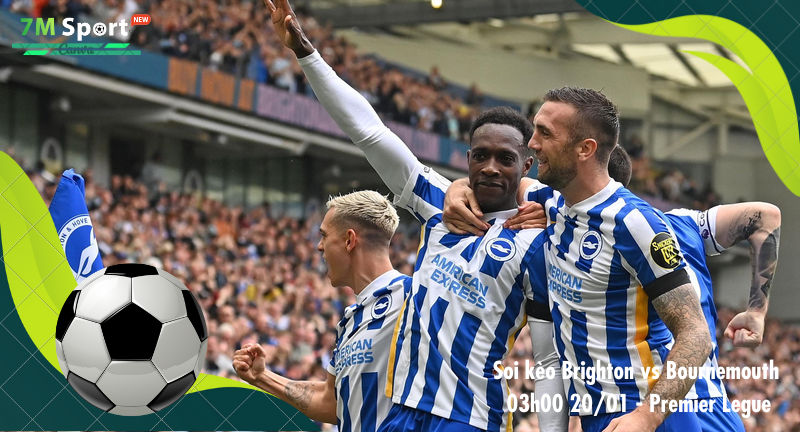 Đội hình dự kiến trước trận Brighton vs Bournemouth Đội hình dự kiến trước trận Brighton vs Bournemouth