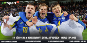 Đội hình dự kiến trước trận đấu Bosnia & Herzegovina vs Qatar